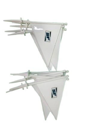 SS Boundary Flags