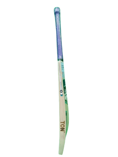 SS CHAMPION - Image 3