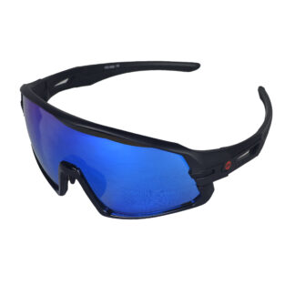 SUNGLASSES  - FALCON 2000
